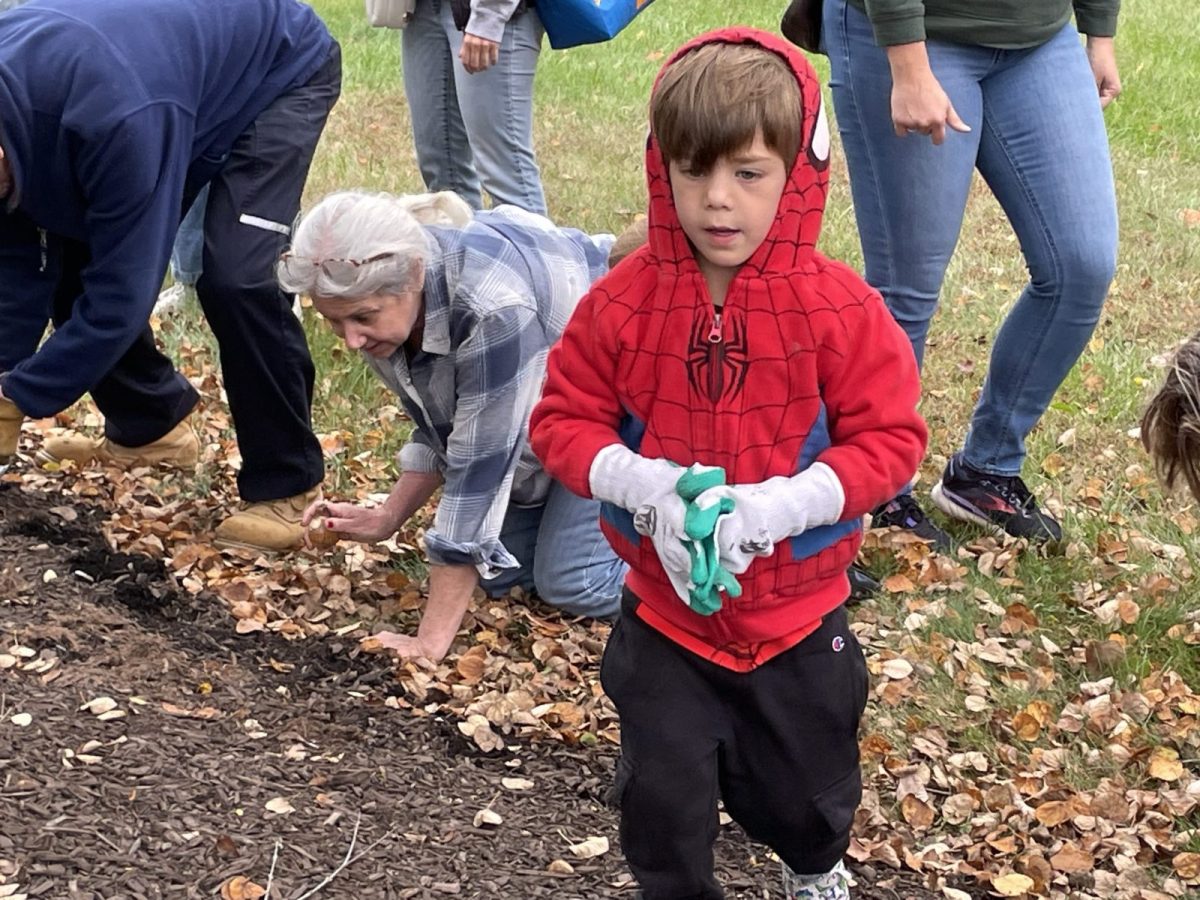 Daffodil Planting-1