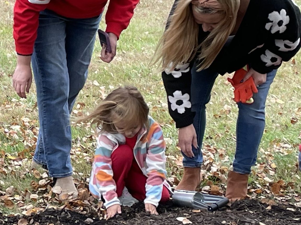 Daffodil Planting-5