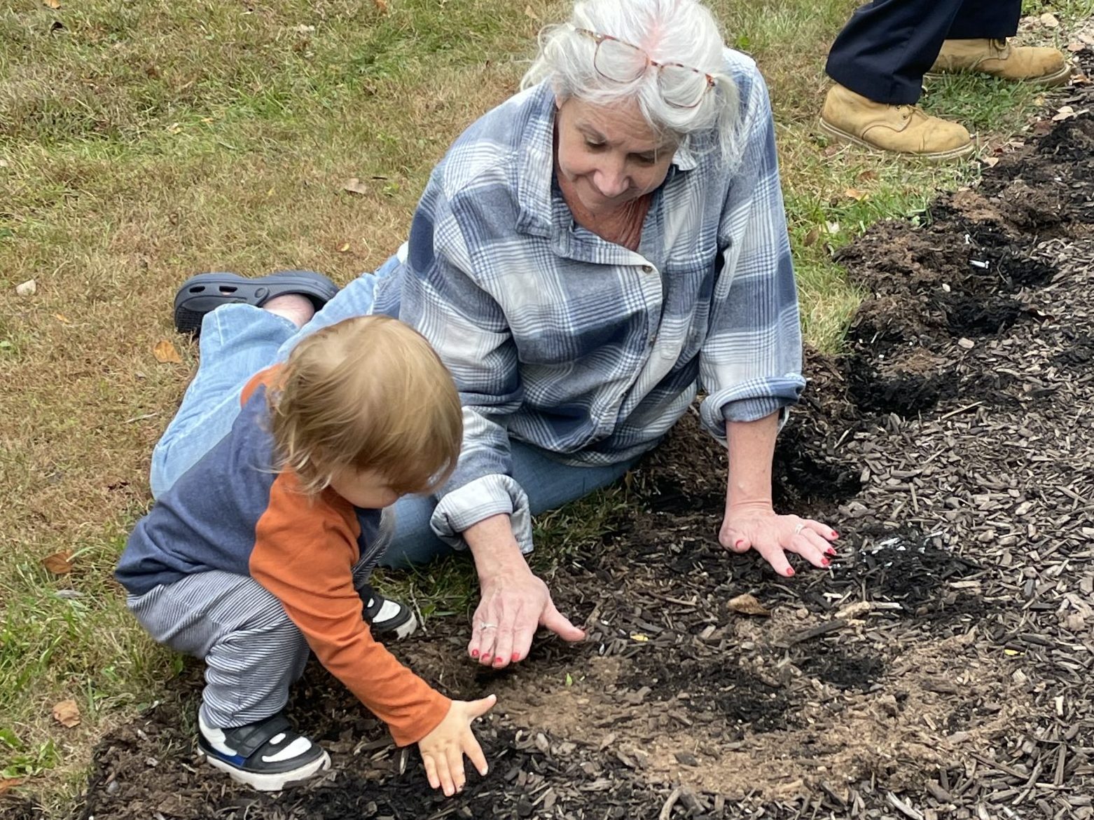 Daffodil Planting