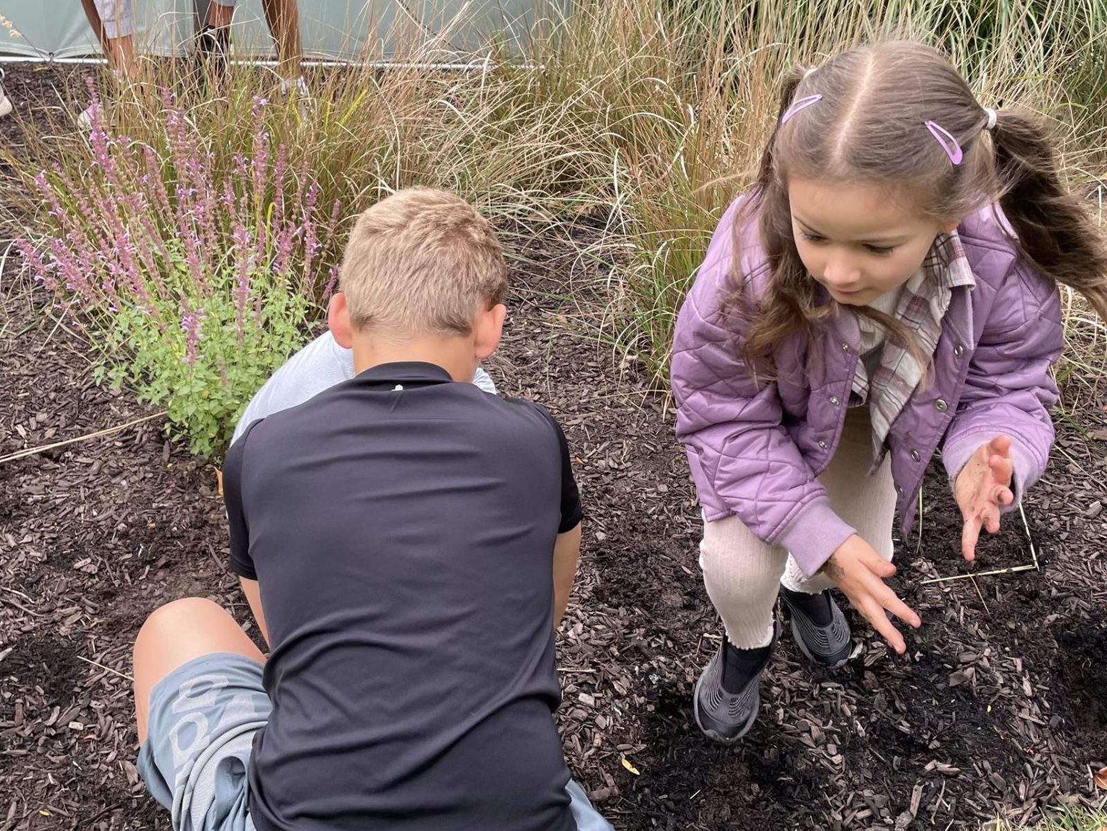 Daffodil Planting-2